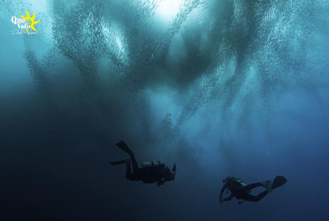 考瓦蒂斯潜水度假酒店 莫阿尔博阿 外观 照片